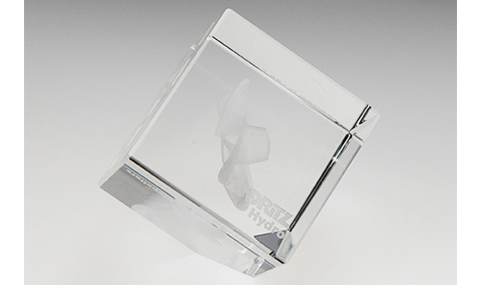 Glasgravur Glasgravur Anwendung - Glastrophäe mit 3D Gravur